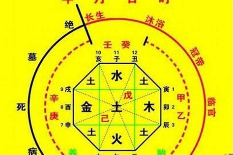 喜用水|八字喜水是什么意思